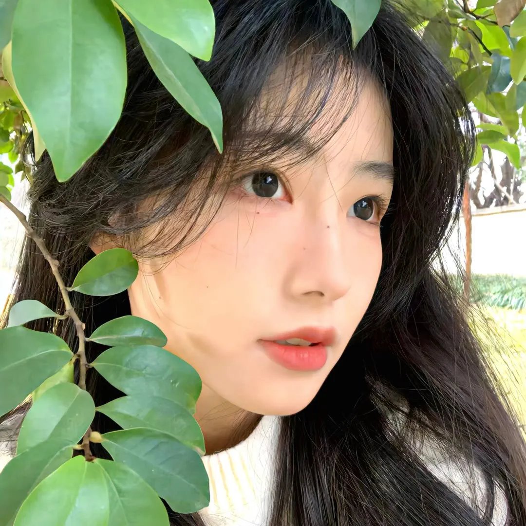 满清禁宫奇案